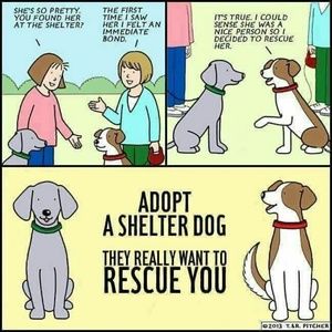 Meet your Posher, Janie